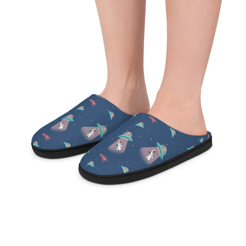 The Abduction of EP Indoor Slippers