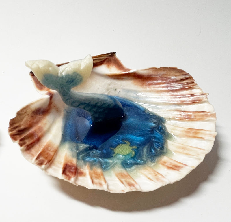 Seashell Jewelry Holder